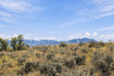 Photo 6 for 9329  Mountain Bluebird Ln