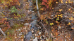 Photo 3 for 6197  Strawberry Creek Rd