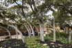 Photo 6 for 2199 S Scenic Dr