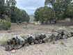 Photo 6 for 46247 W Bandanna Dr