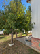 Photo 2 for 239 E Detroiter Ave #303
