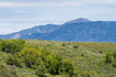 Photo 4 for 6651 E Chaparral Rd