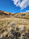 Photo 3 for Settlement Canyon Rd