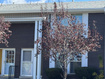 Photo 1 for 3960 S Gramercy Ave