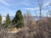 Photo 4 for 1126 S Lakeview Dr