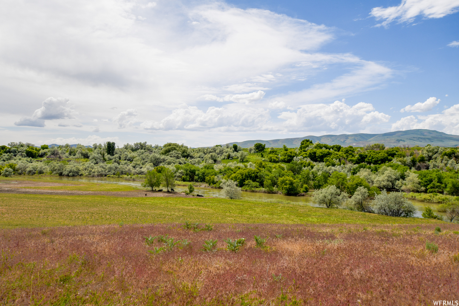 Deweyville UT 84309 746,410