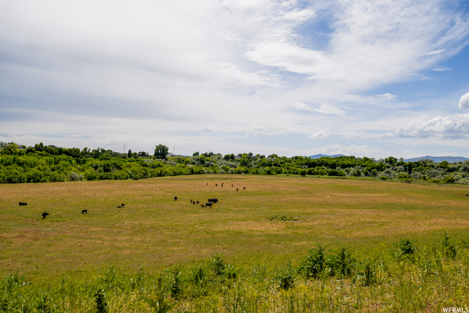 Deweyville UT 84309 746,410