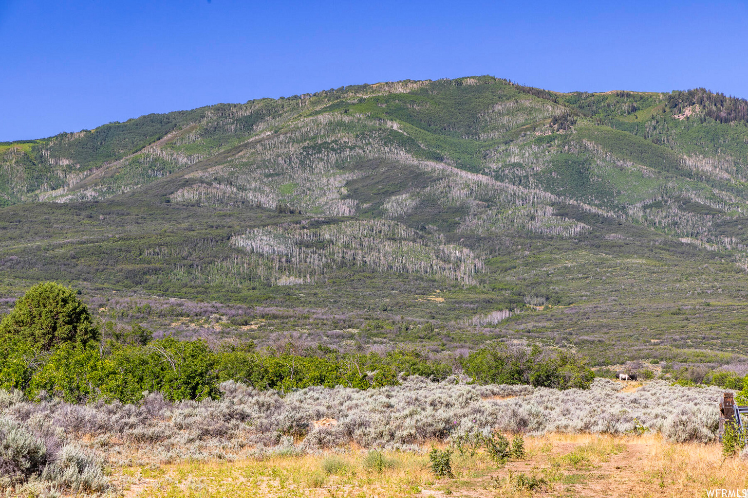 2120 LITTLE VALLEY RD, Wallsburg, UT, 84082