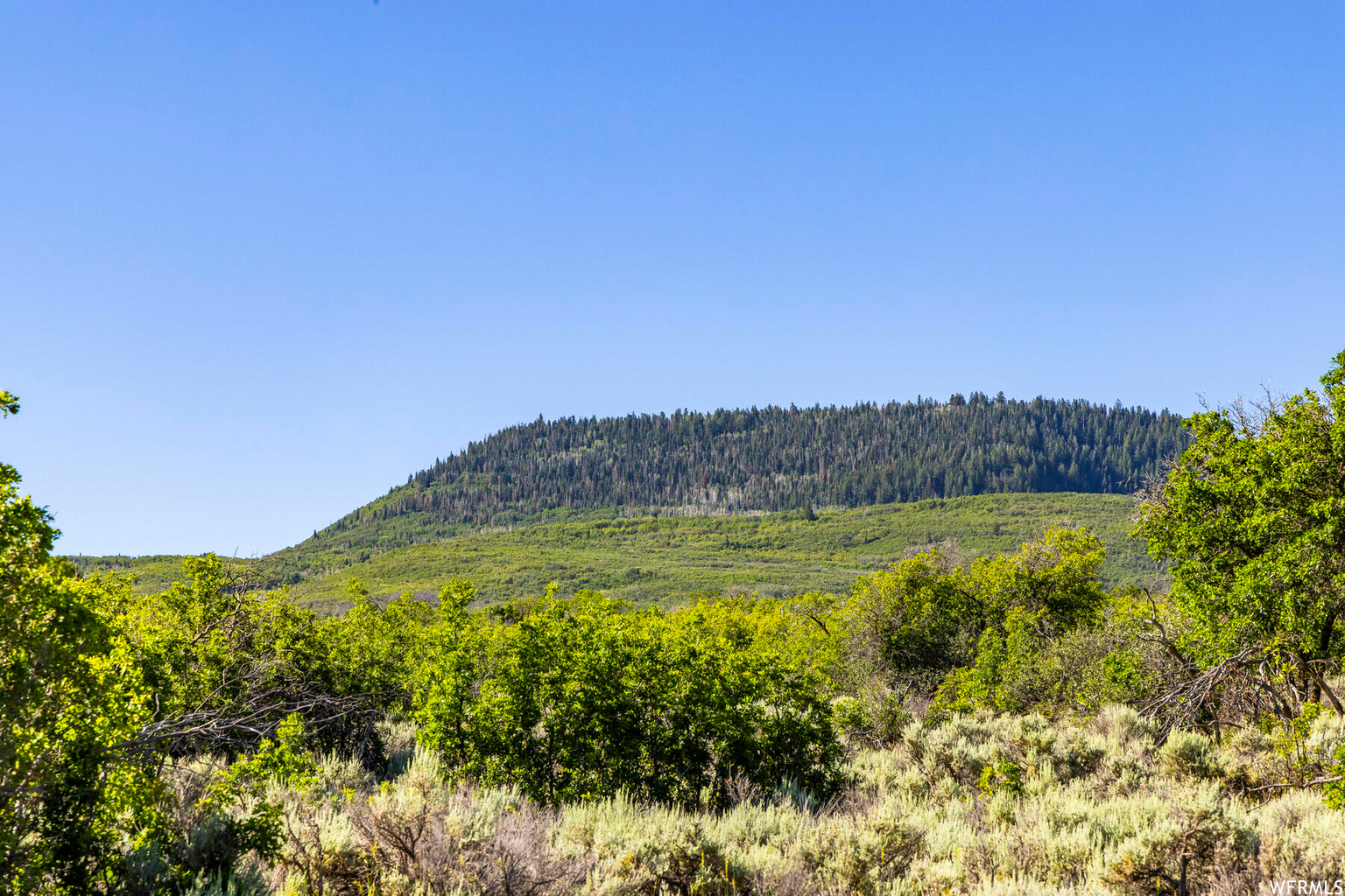 2120 LITTLE VALLEY RD, Wallsburg, UT, 84082