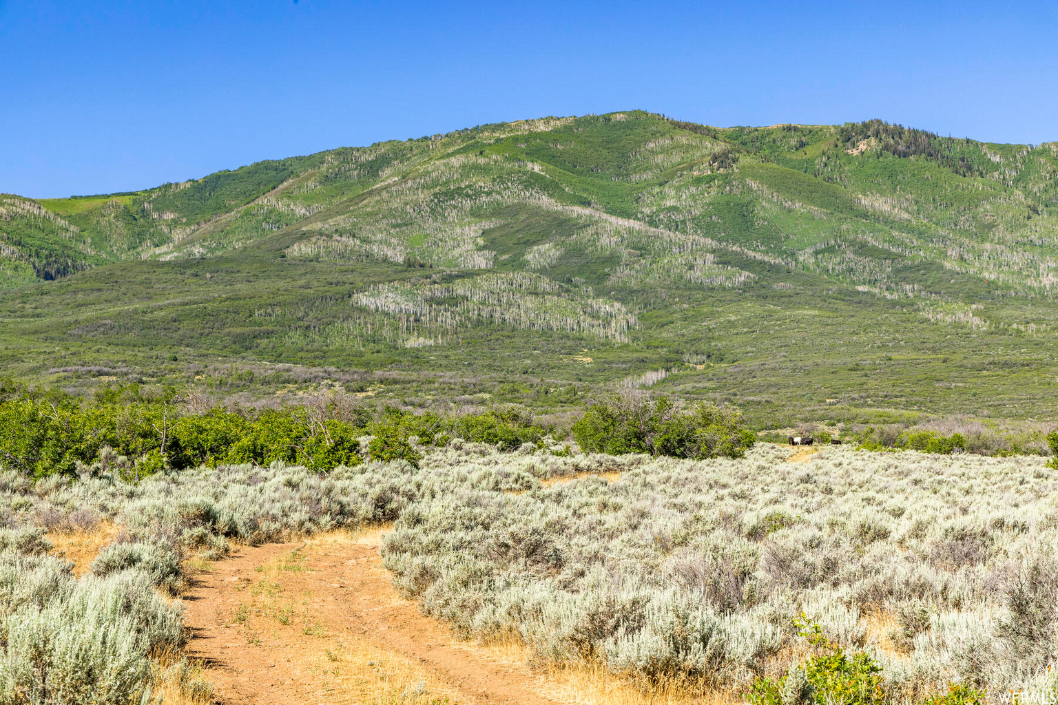2120 LITTLE VALLEY RD, Wallsburg, UT, 84082