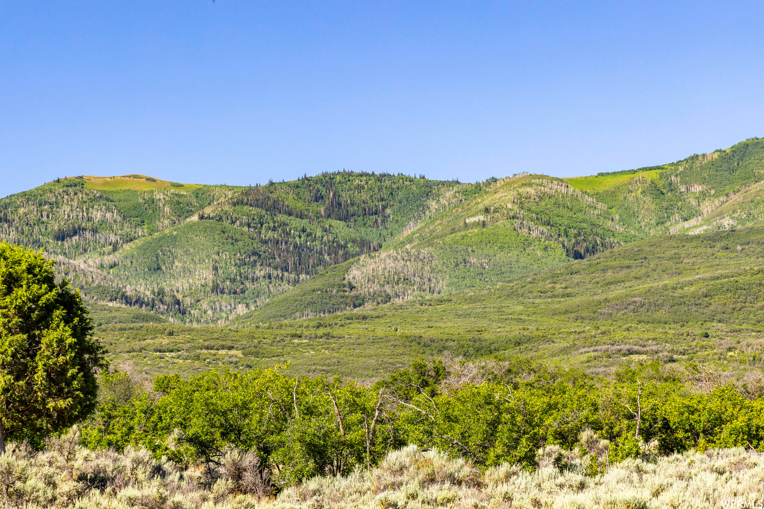 2120 LITTLE VALLEY RD, Wallsburg, UT, 84082