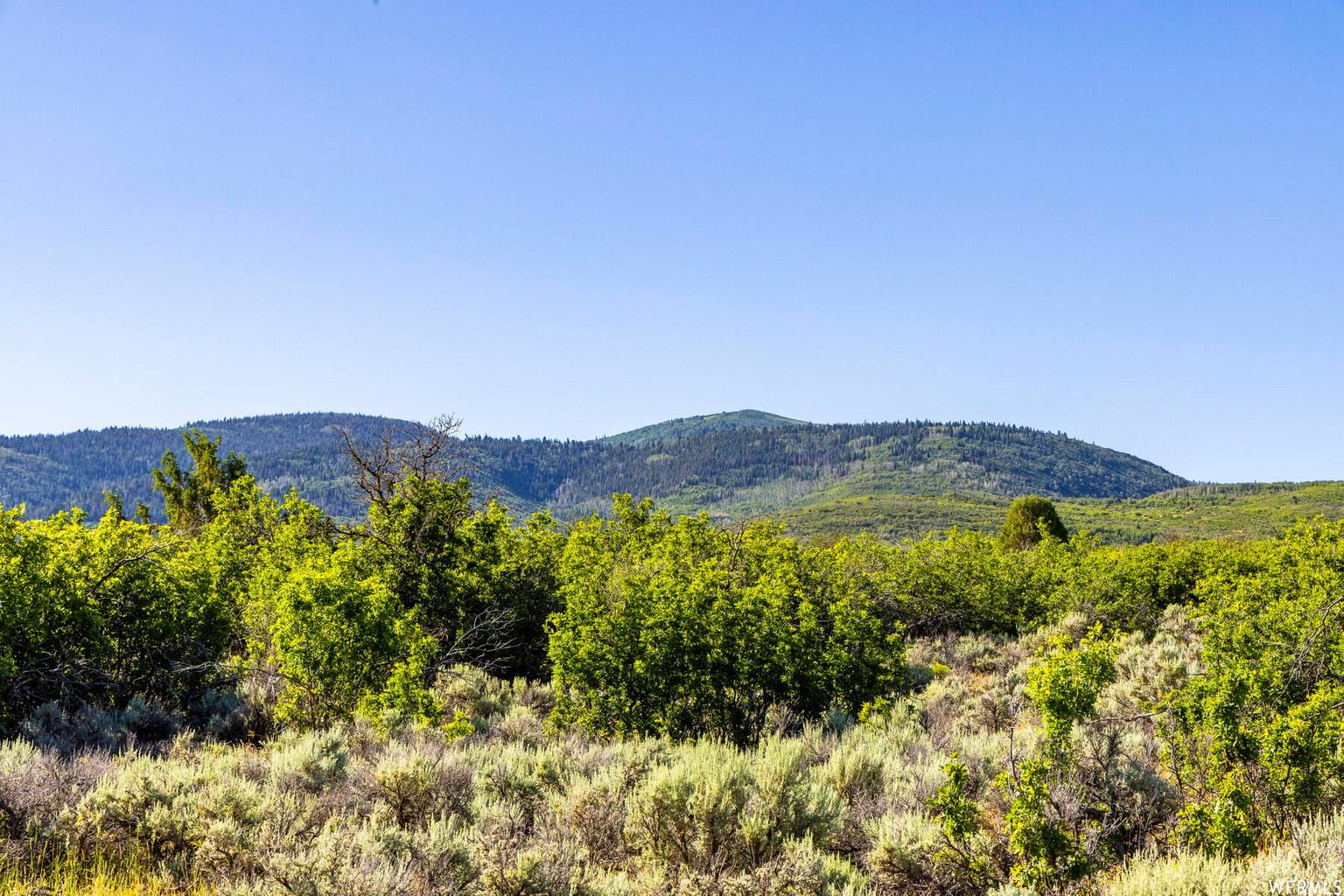 2120 LITTLE VALLEY RD, Wallsburg, UT, 84082