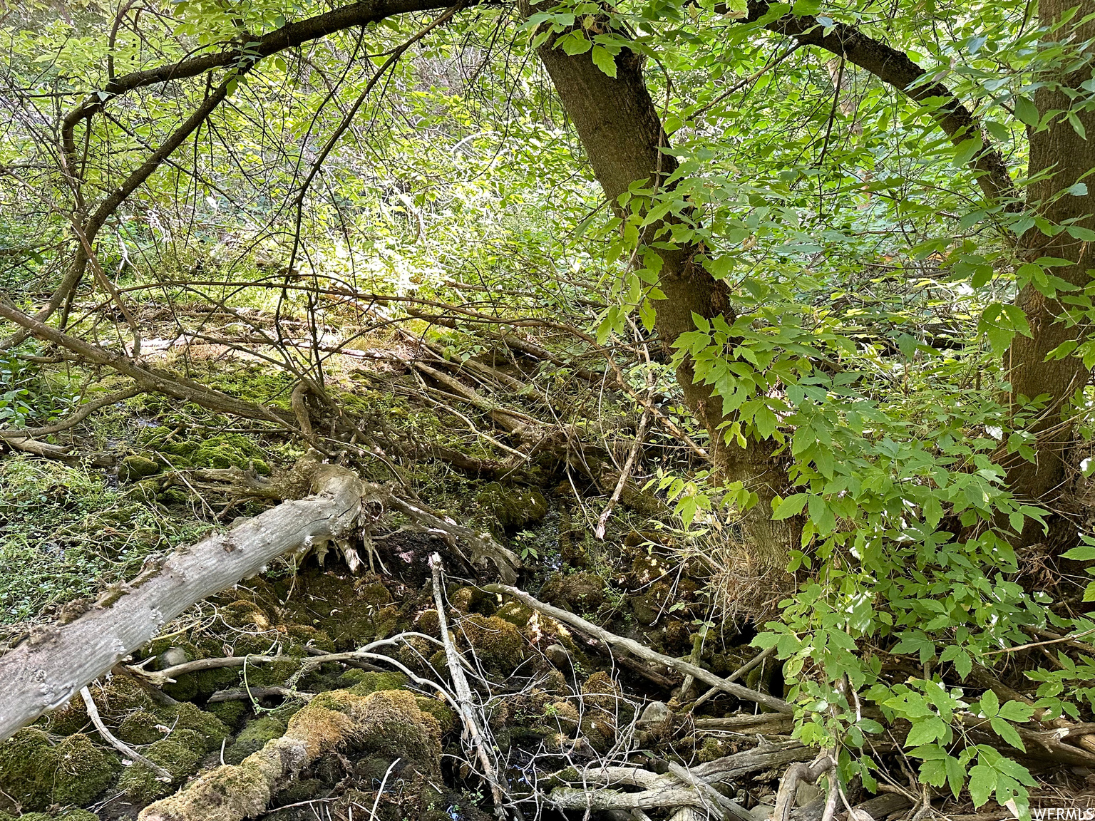 5025 S HOLLOW RD, Nibley, UT, 84321