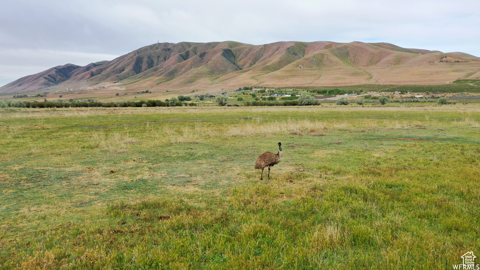 5500 W 5600 S, Lake  Shore, UT, 84660