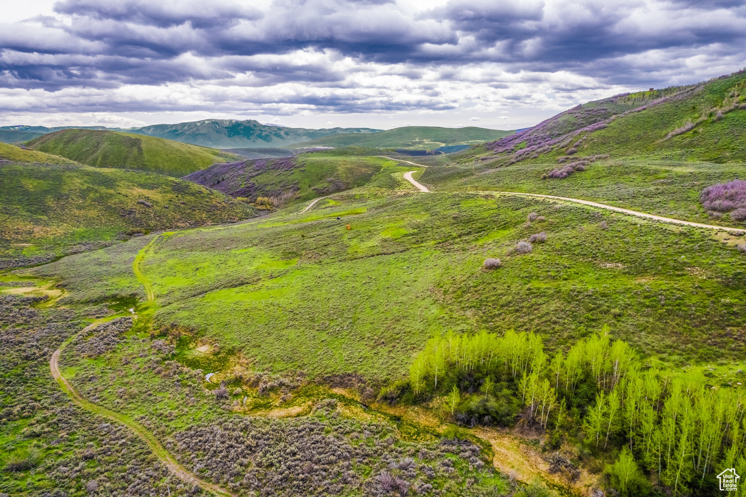 4323 GALTS GULCH UNIT 7, Park  City, UT, 84098