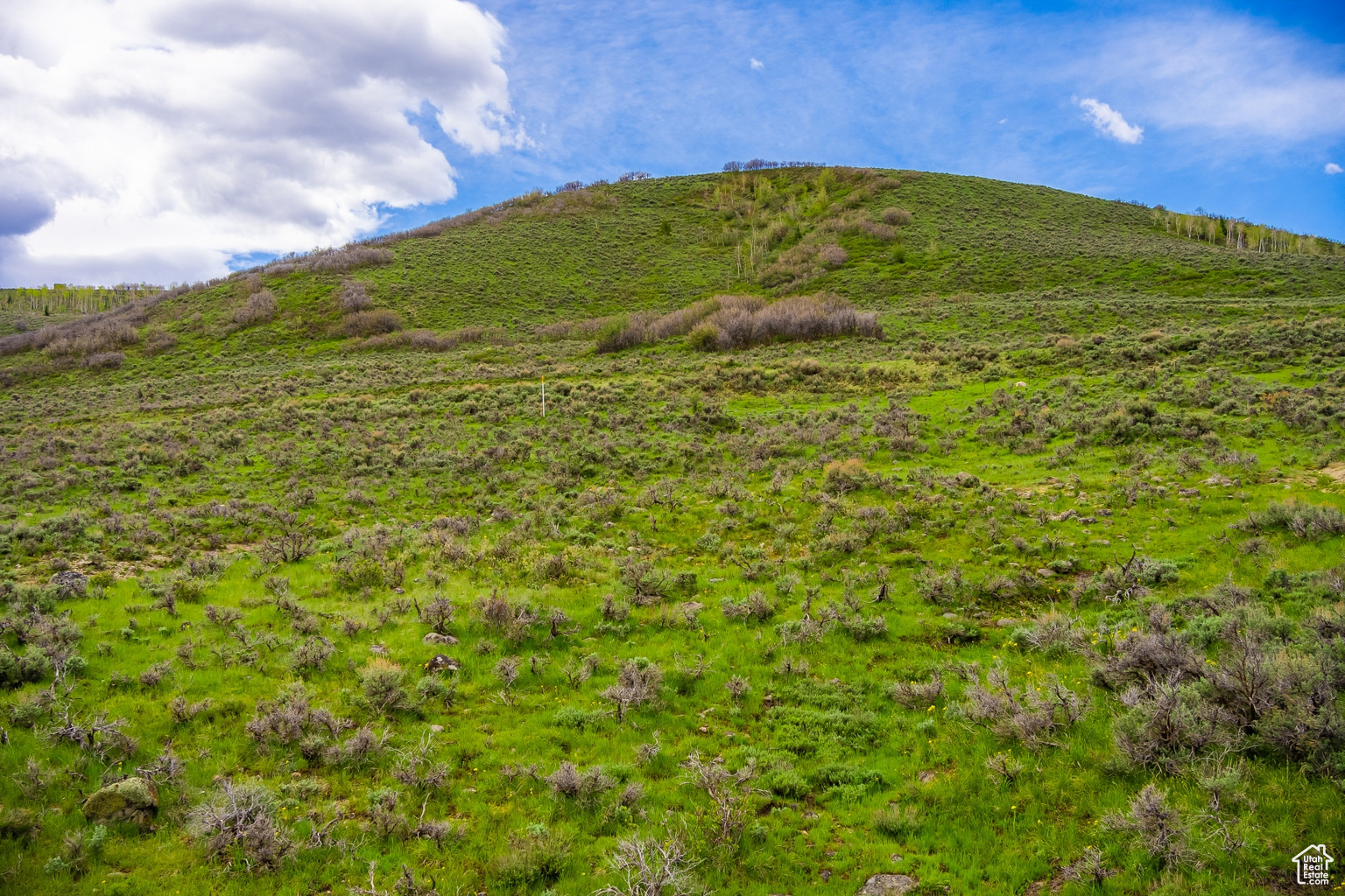 4323 GALTS GULCH UNIT 7, Park  City, UT, 84098