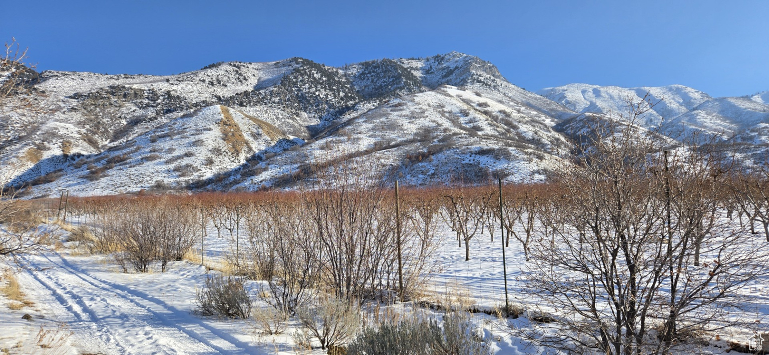 12975 S HIGHWAY 198, Santaquin, UT, 84655