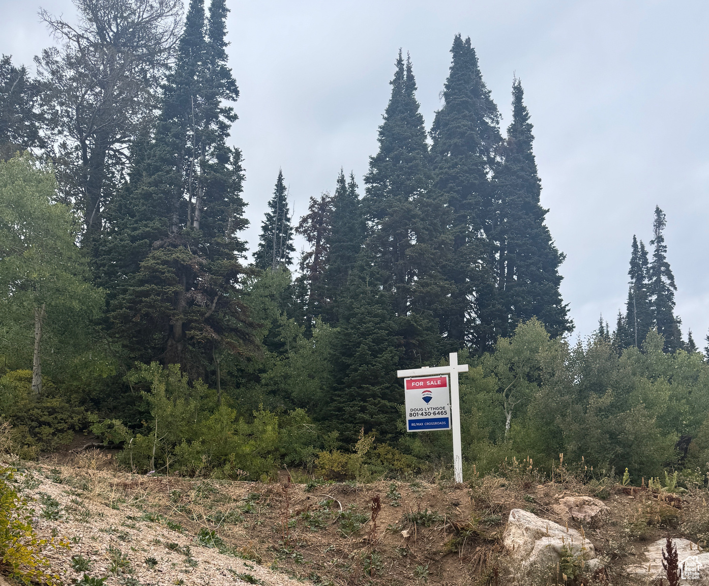 6741 E ASPEN DR N, Eden, UT, 84310