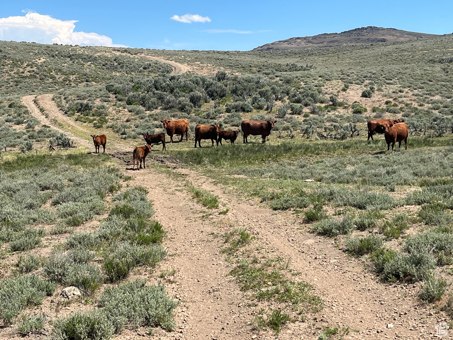 4050 W 9600 S, Payson, UT, 84651
