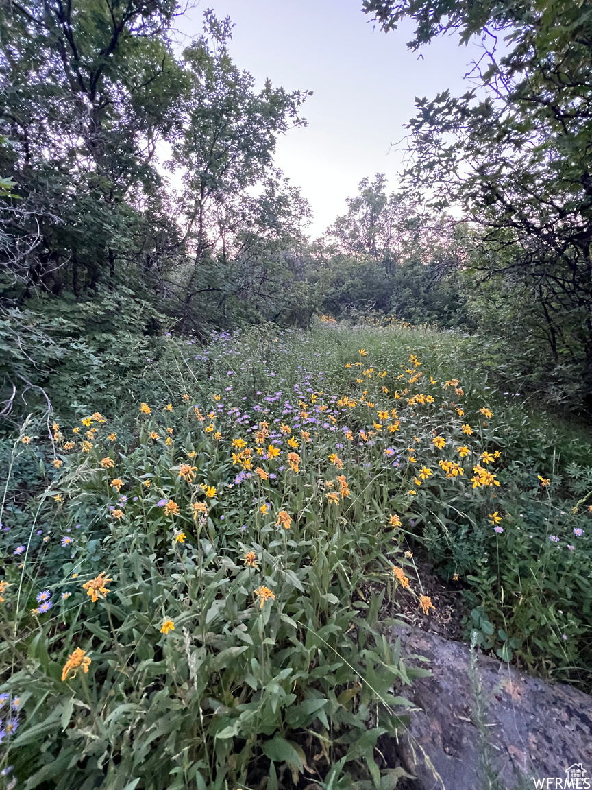 27 ARNICA CIR UNIT 137-, Fish  Haven, ID, 83287