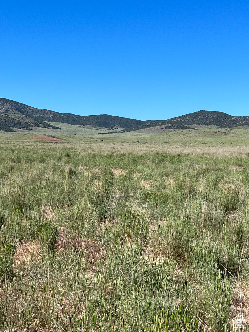 SEE DIRECTIONS, Grouse  Creek, UT, 84313