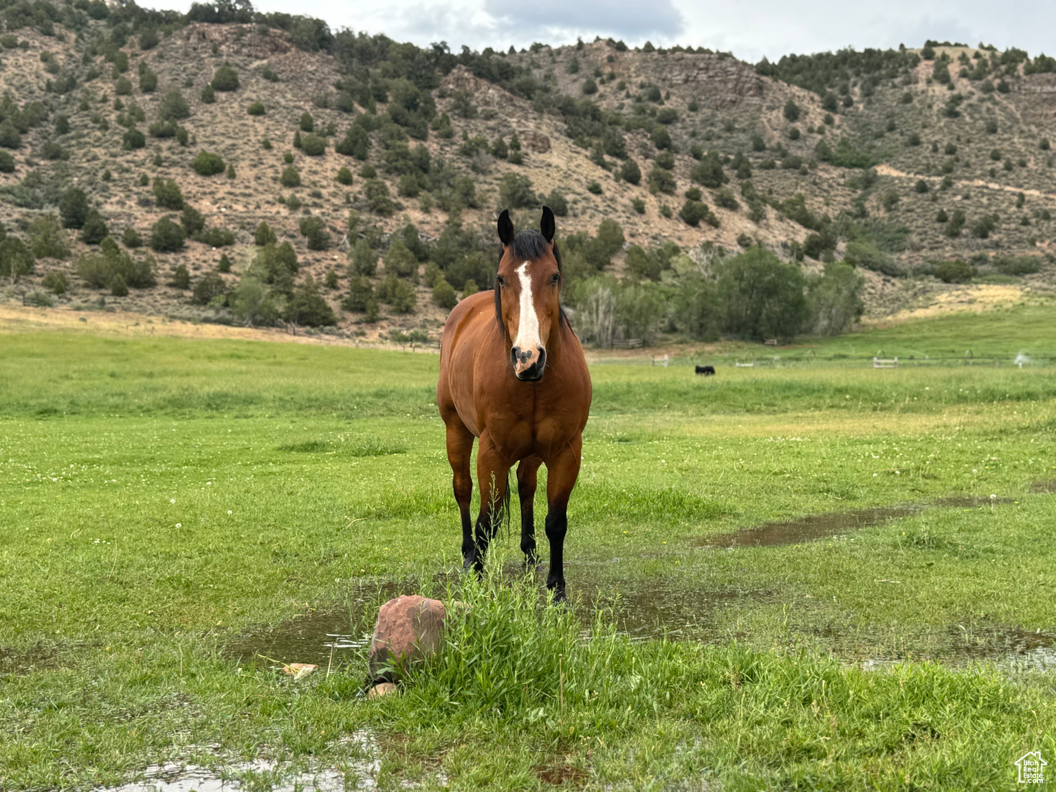 42749 W 9750 N, Hanna, UT, 84031