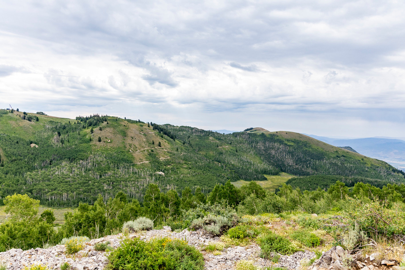 Midway, UT, 84049