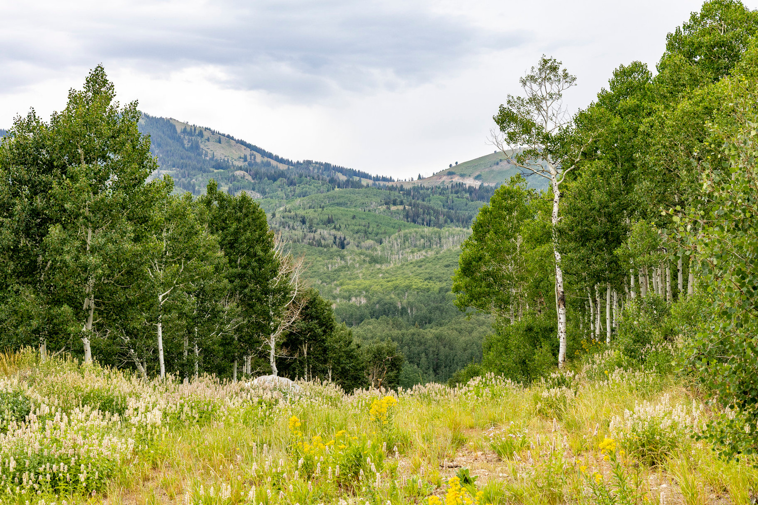 Midway, UT, 84049