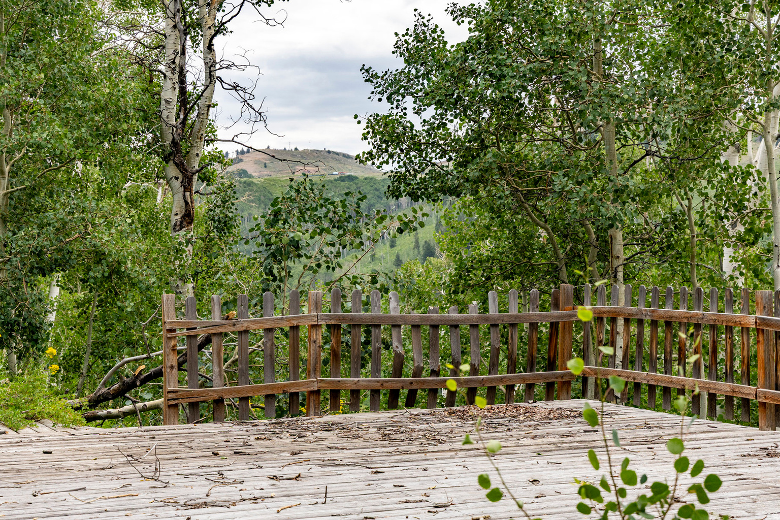 Midway, UT, 84049