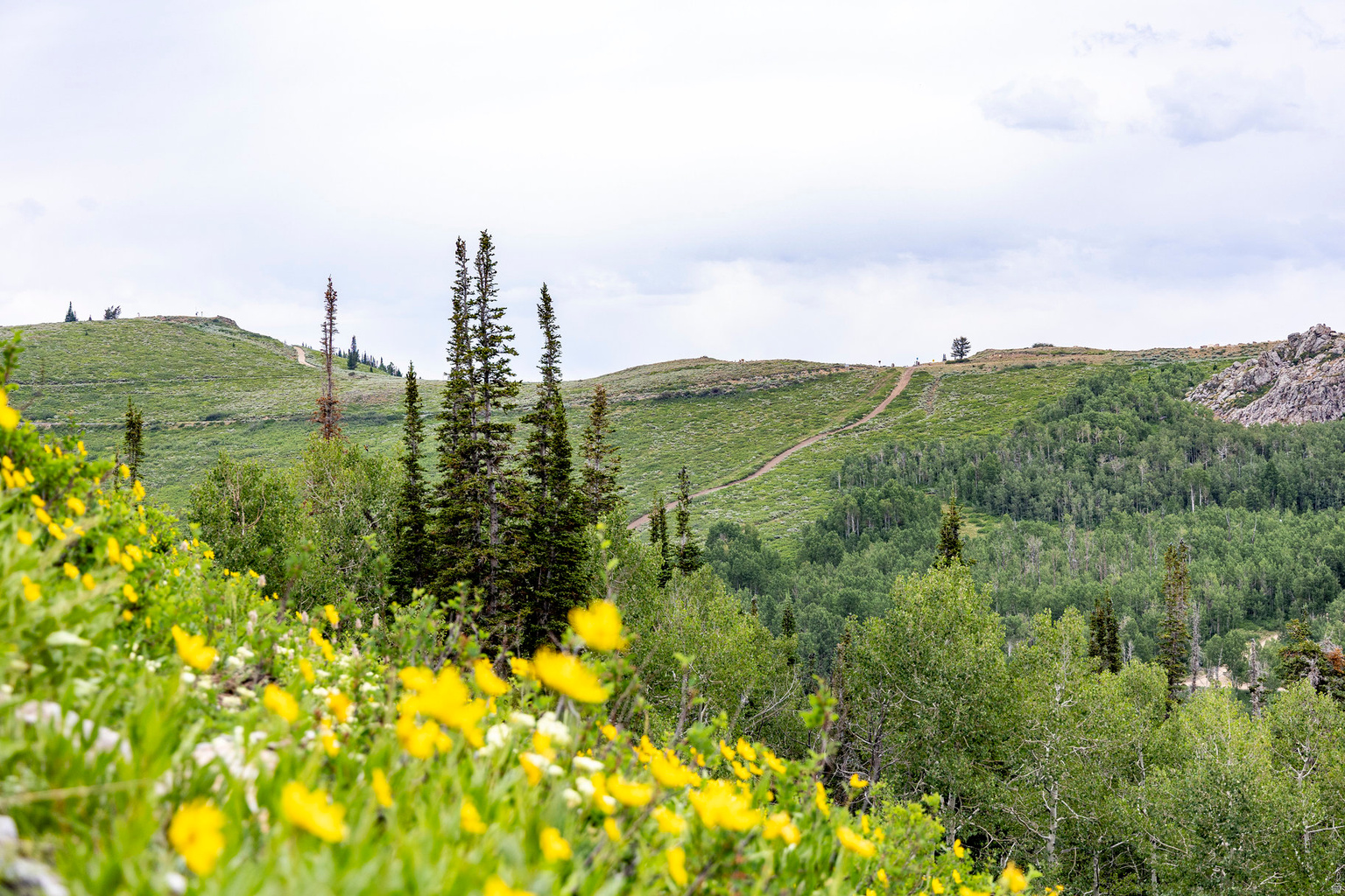 Midway, UT, 84049