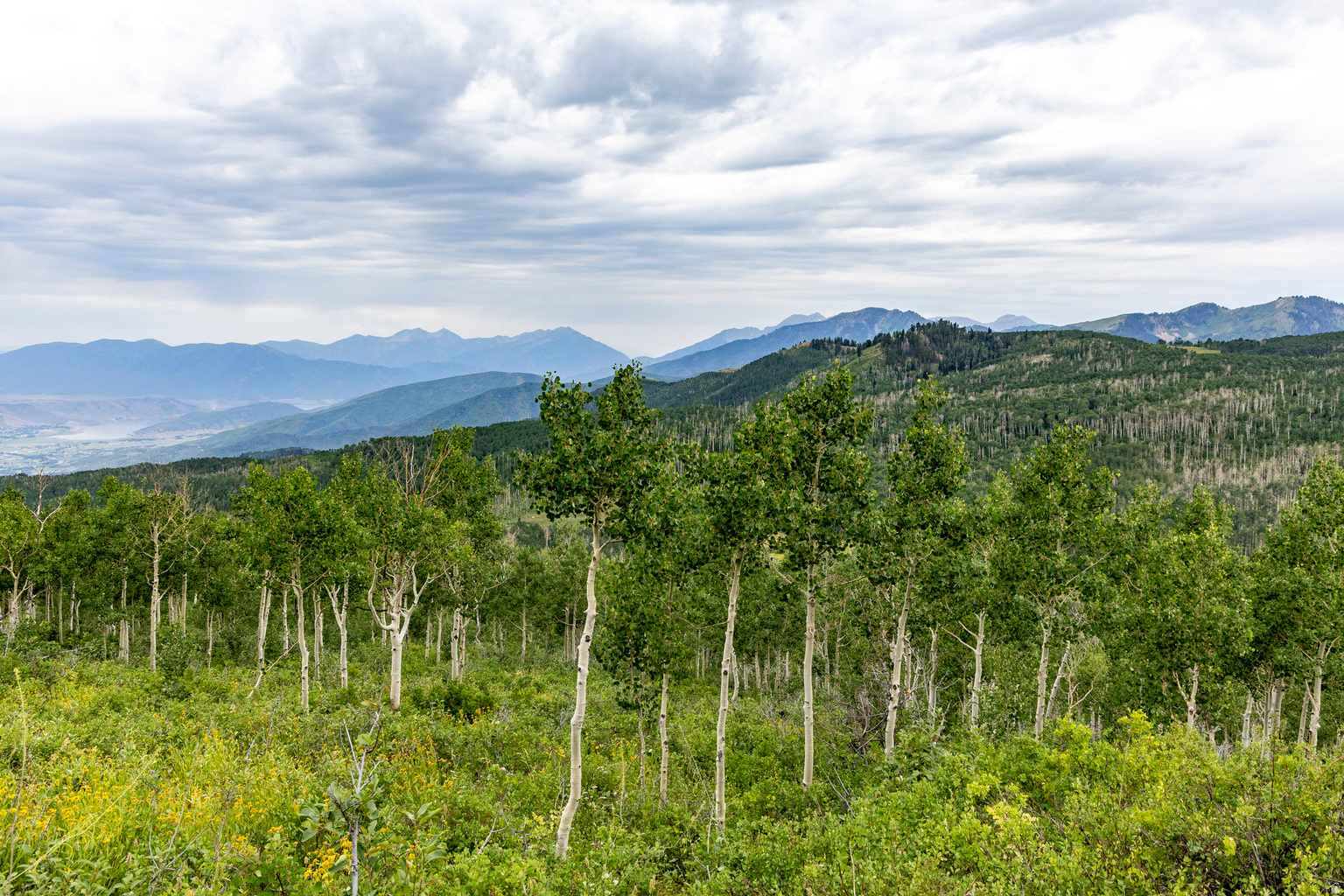Midway, UT, 84049