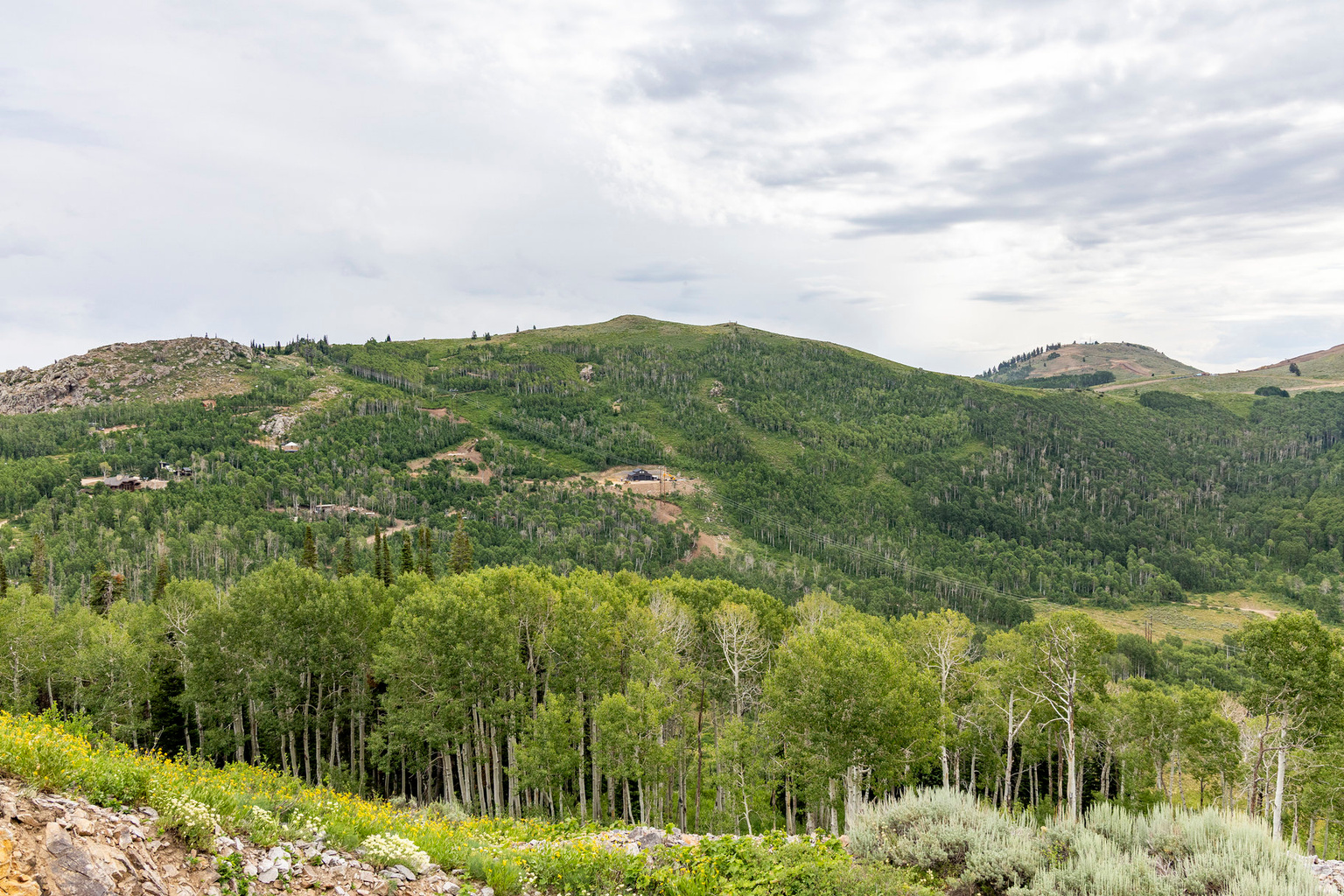 Midway, UT, 84049