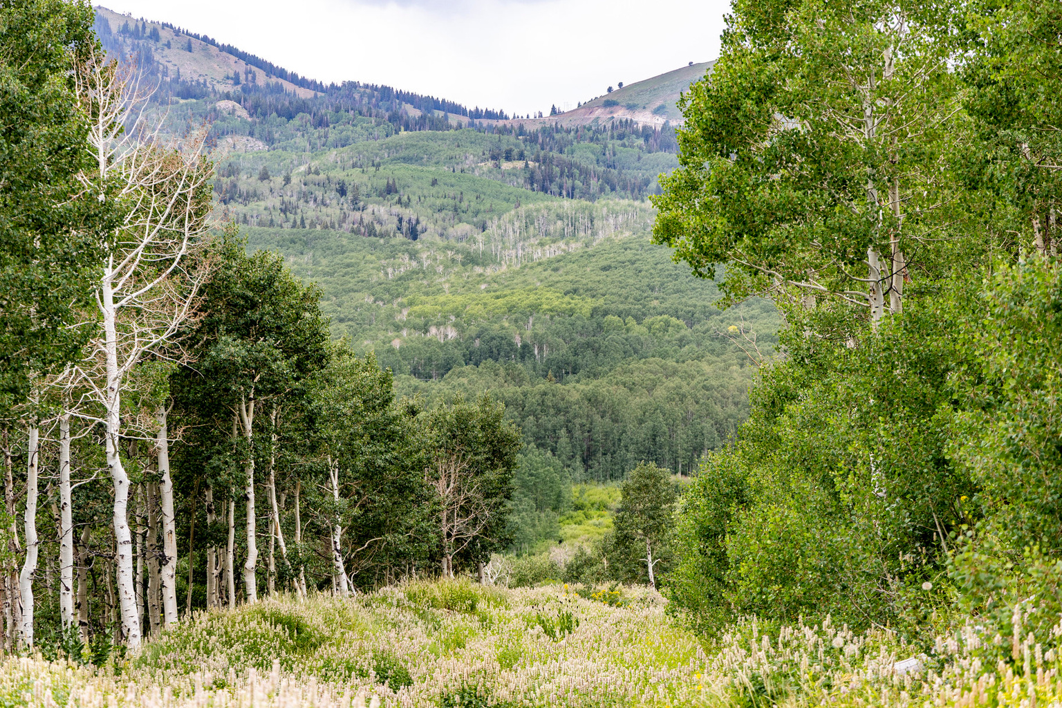 Midway, UT, 84049