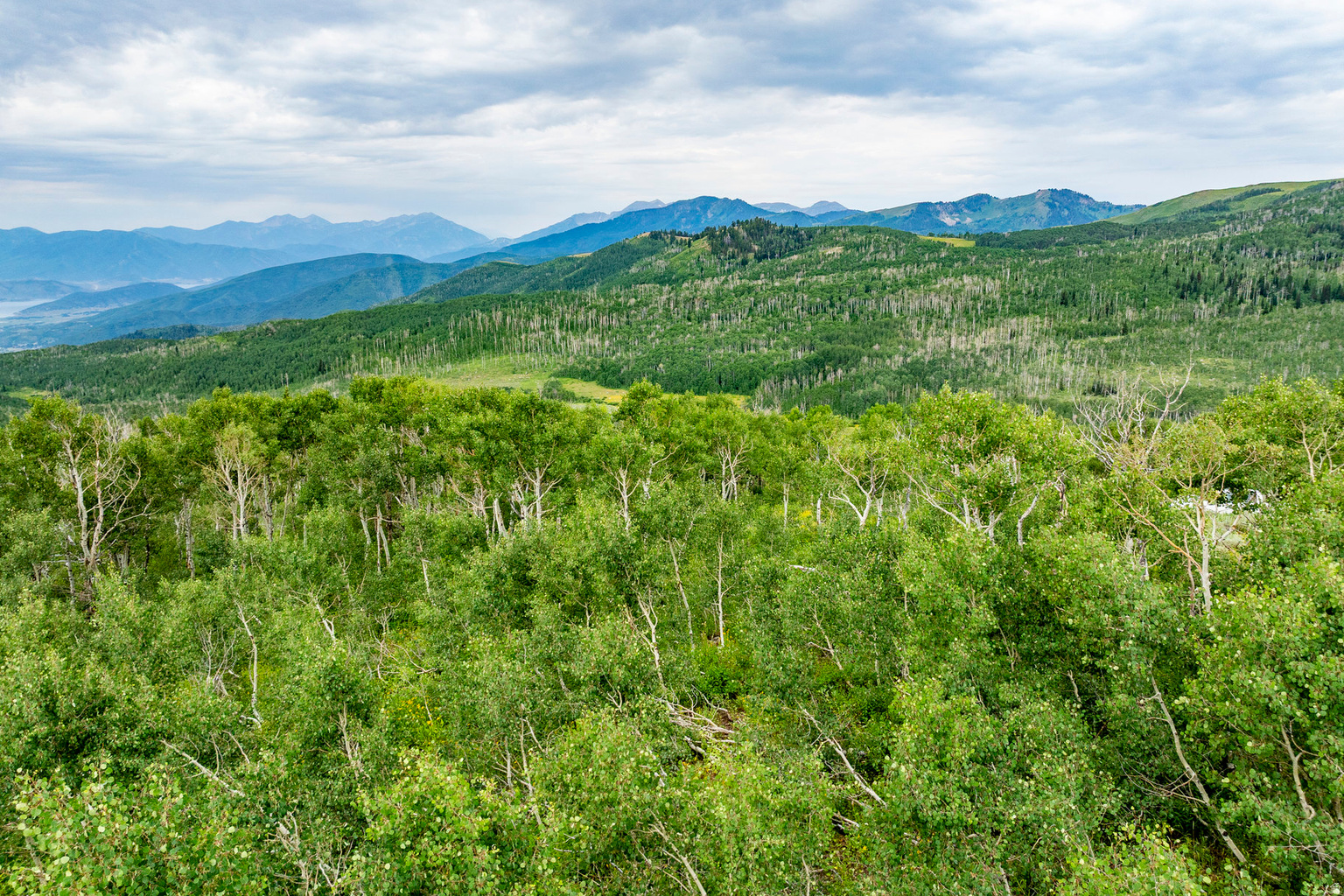 Midway, UT, 84049