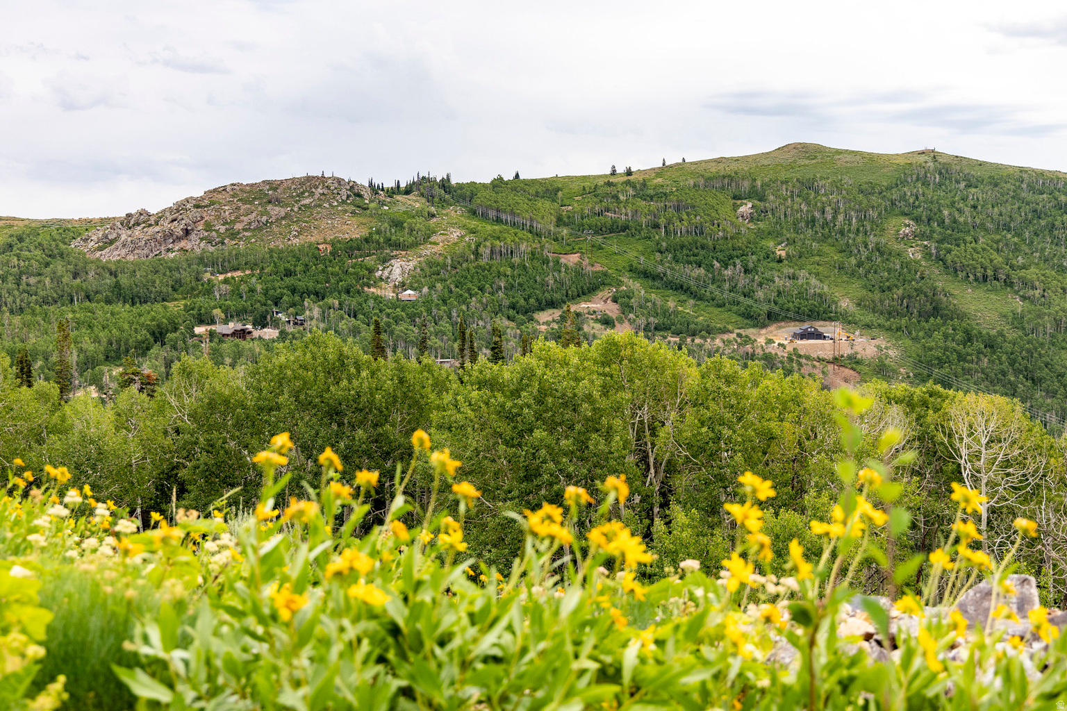 Midway, UT, 84049