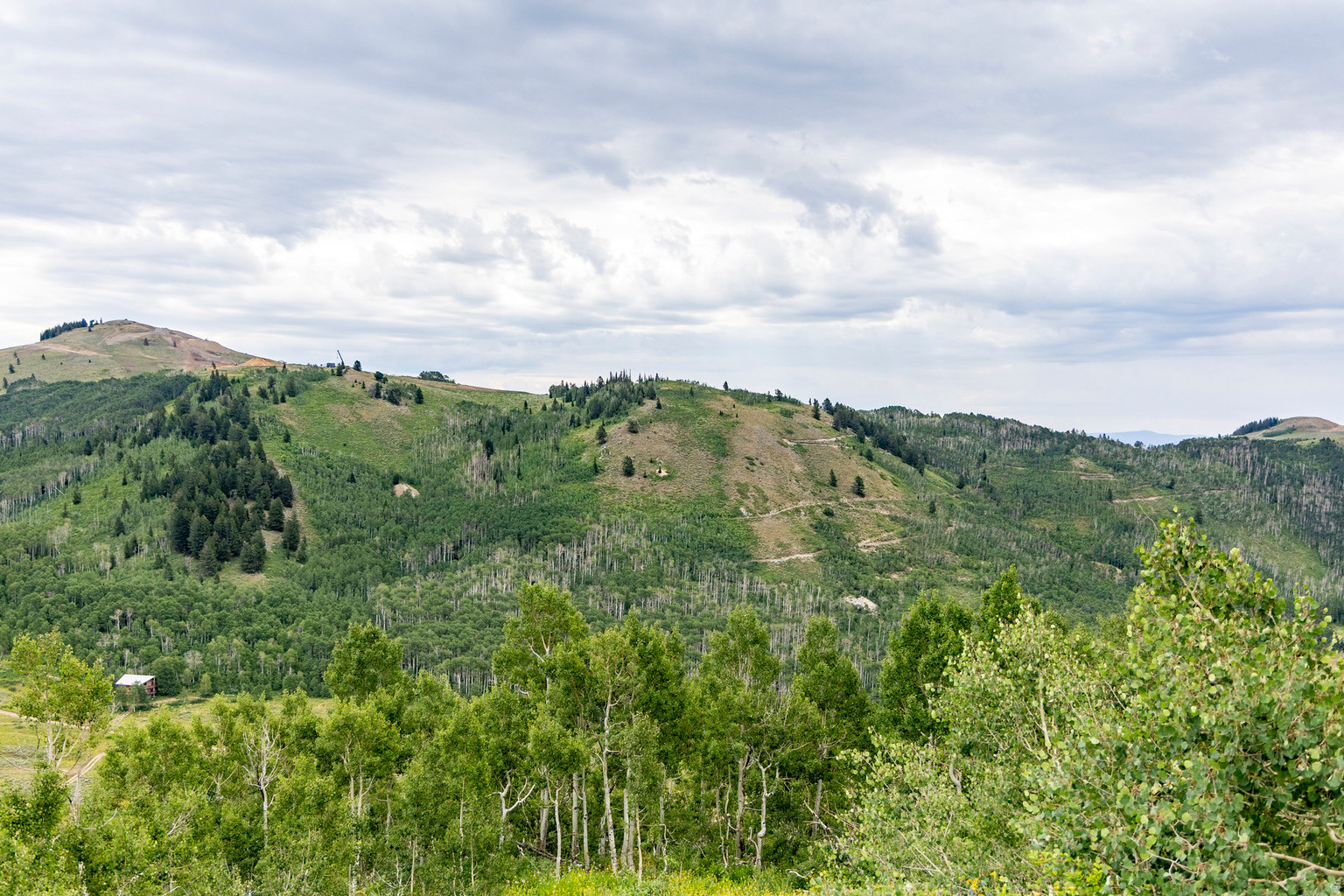 Midway, UT, 84049