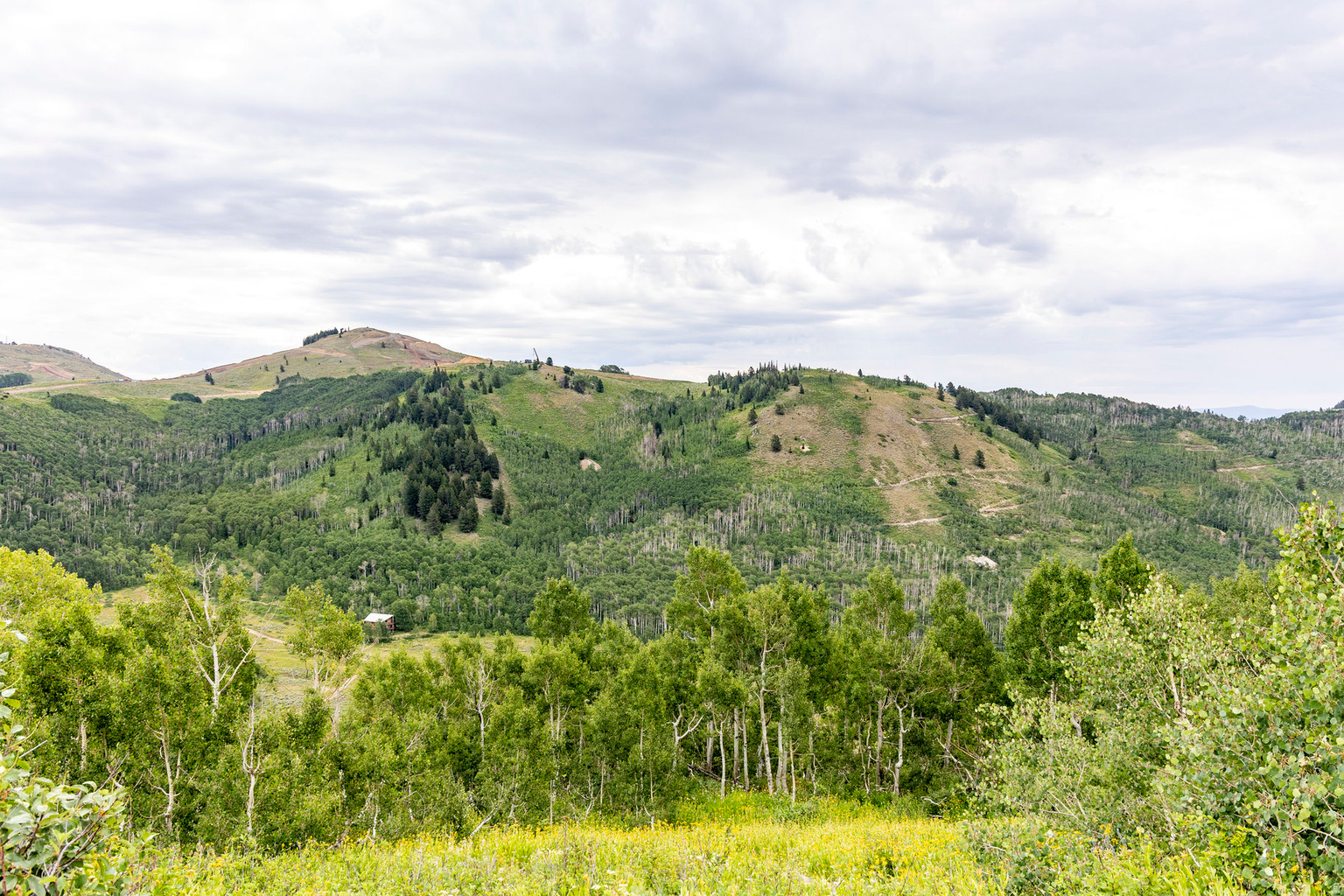 Midway, UT, 84049