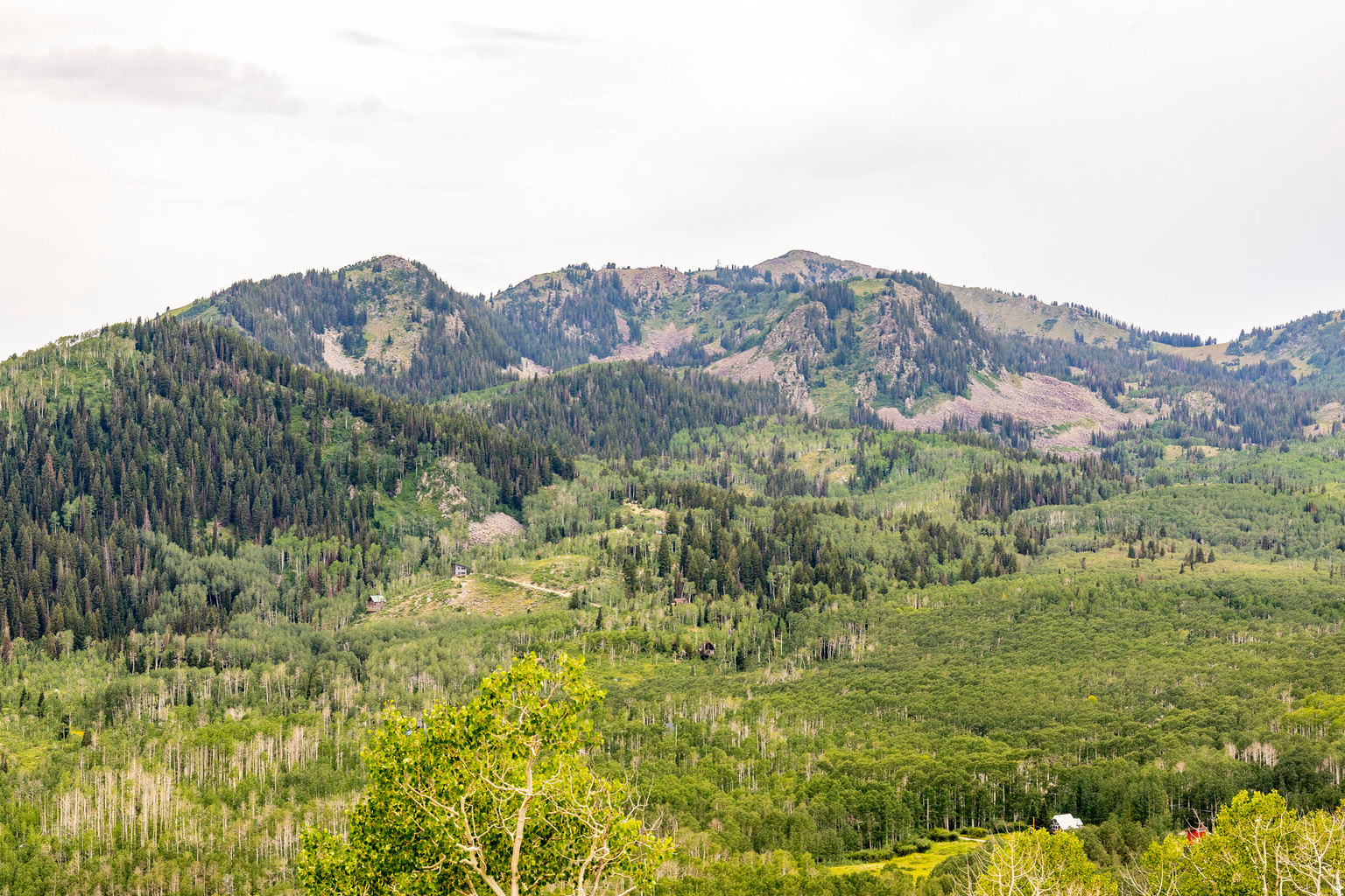 Midway, UT, 84049