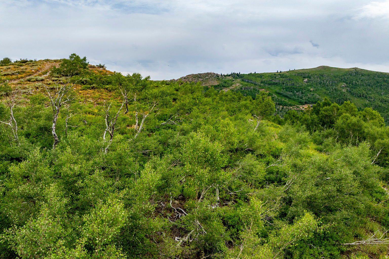 Midway, UT, 84049