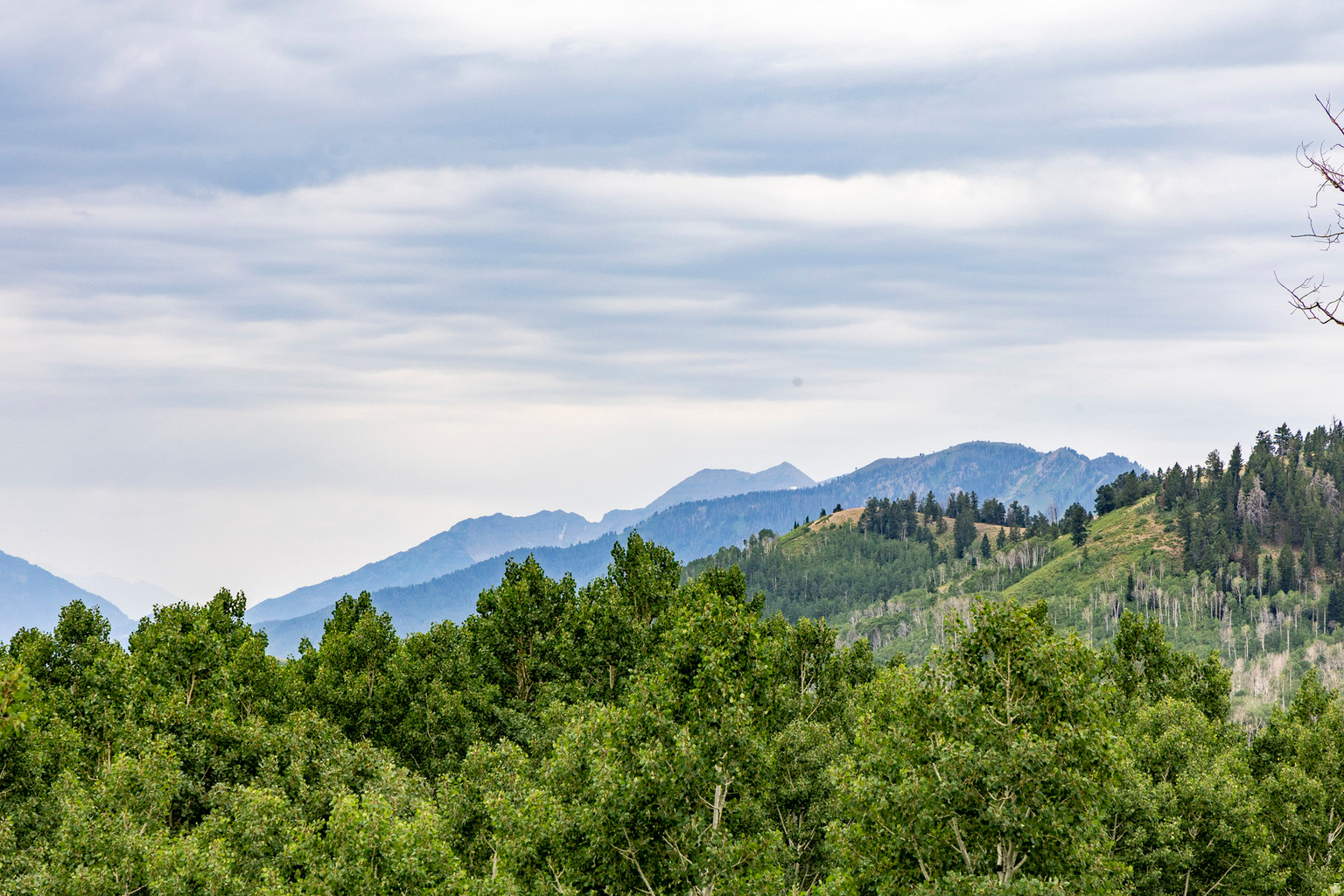 Midway, UT, 84049