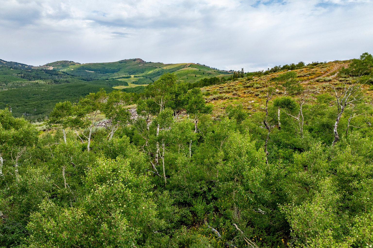 Midway, UT, 84049