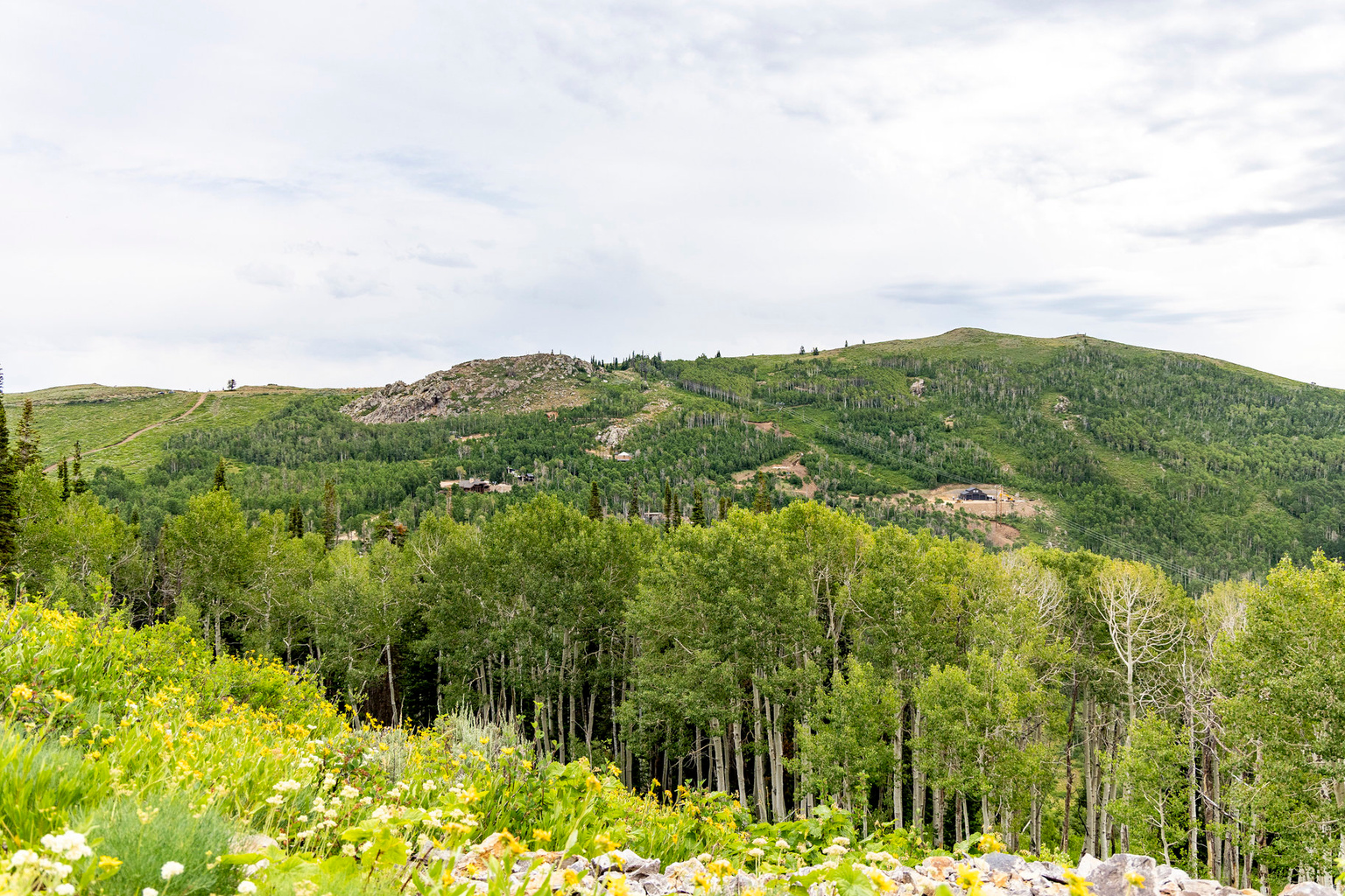 Midway, UT, 84049