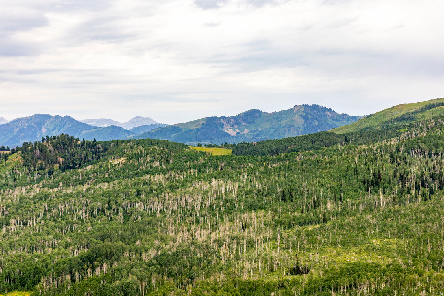 Midway, UT, 84049