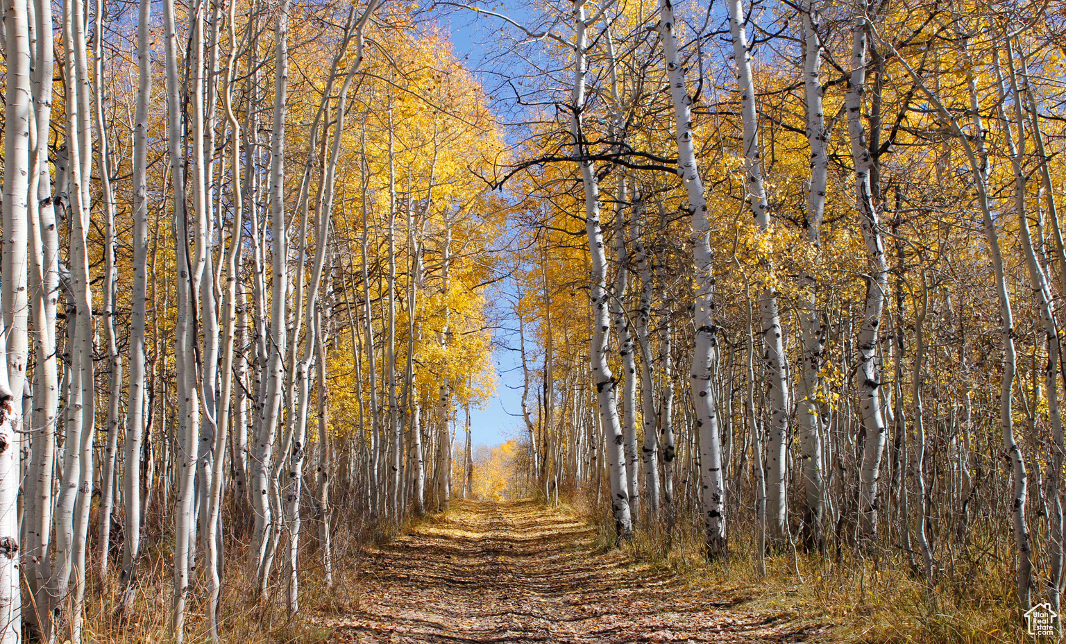 8427 E ASPEN RIDGE RD UNIT 40, Heber  City, UT, 84032