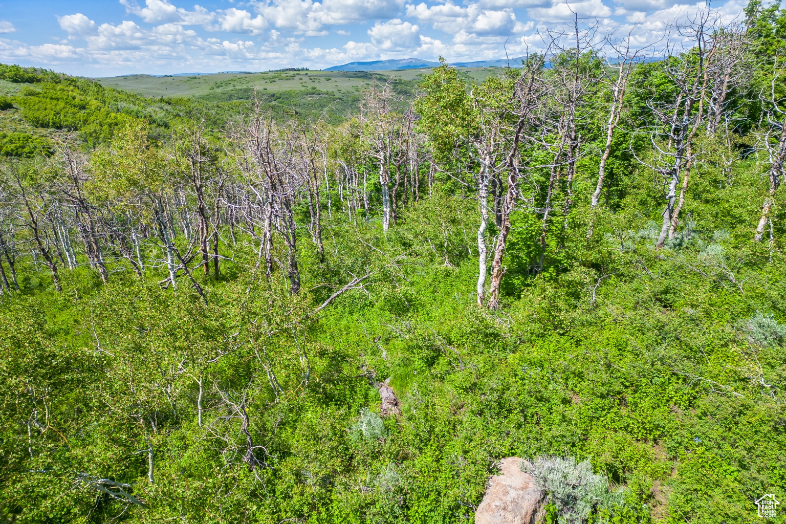 8427 E ASPEN RIDGE RD UNIT 40, Heber  City, UT, 84032