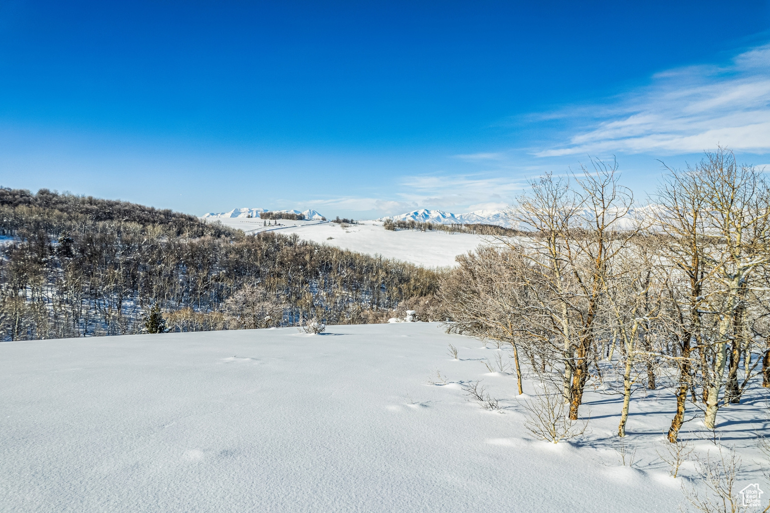 8427 E ASPEN RIDGE RD UNIT 40, Heber  City, UT, 84032