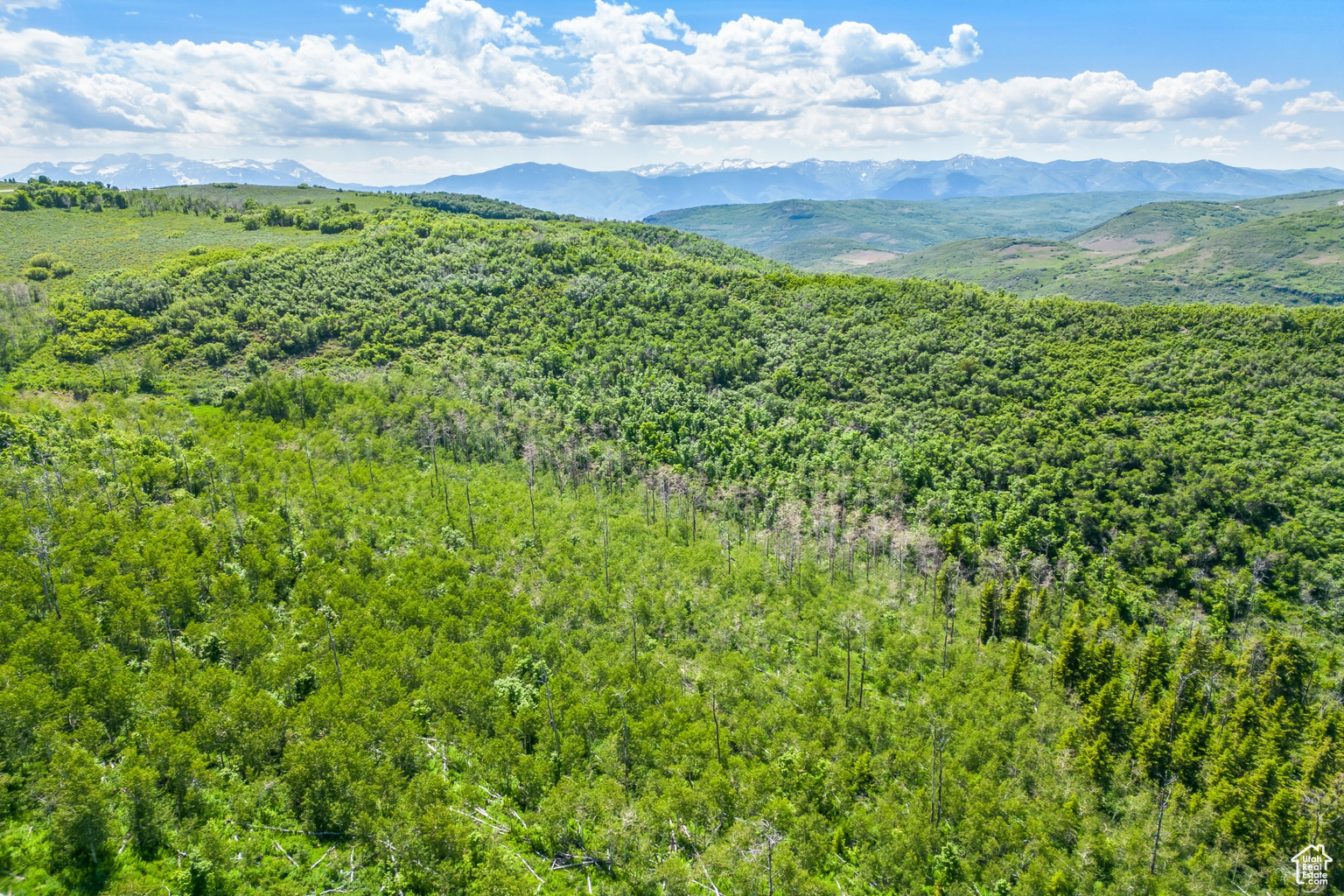 8427 E ASPEN RIDGE RD UNIT 40, Heber  City, UT, 84032