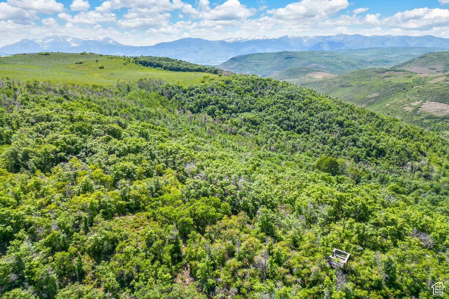 8427 E ASPEN RIDGE RD UNIT 40, Heber  City, UT, 84032