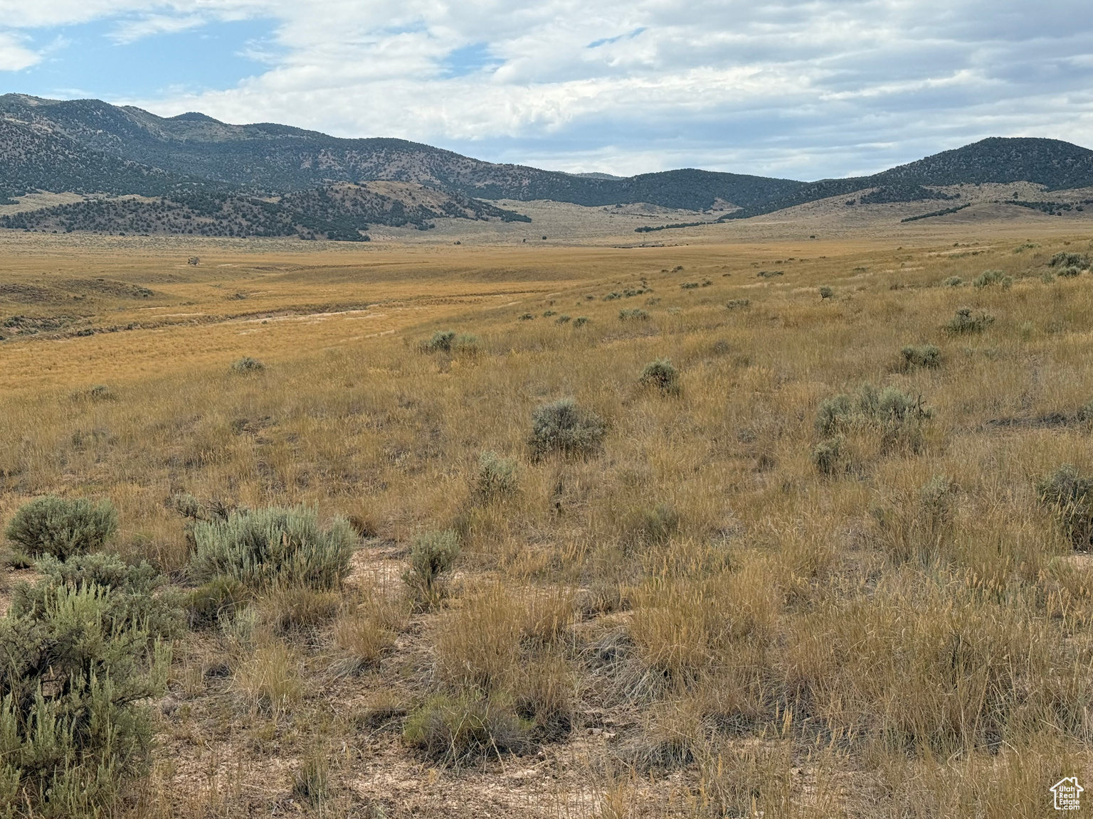 SEE DIRECTIONS, Grouse  Creek, UT, 84313