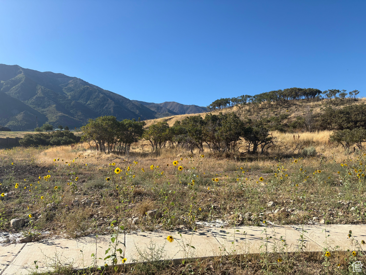 847 E WILLOW SPRINGS LN S, Draper, UT, 84020